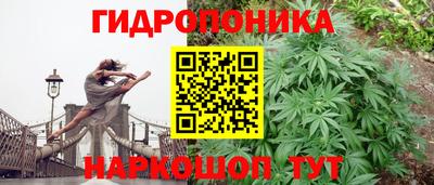 каннабис Шебекино