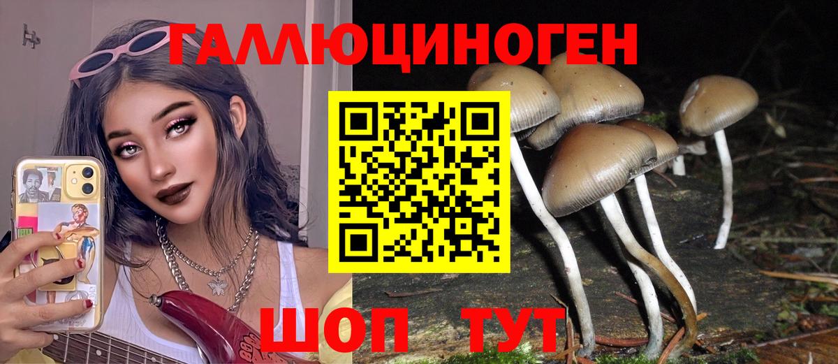 Галлюциногенные грибы Cubensis Кудрово