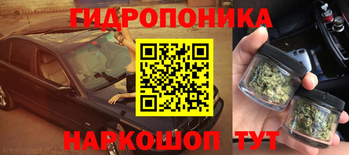 МАРИХУАНА OG Kush  Бошки марихуана THC 21%  Вход с VPN  Кудрово  МАРИХУАНА LSD WEED  Конопля AK-47 